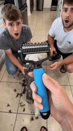 Pet grooming brush in use